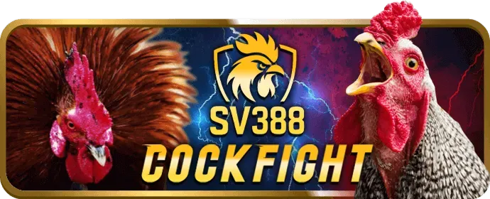 Ưu đãi độc quyền và tiền thưởng CQ9